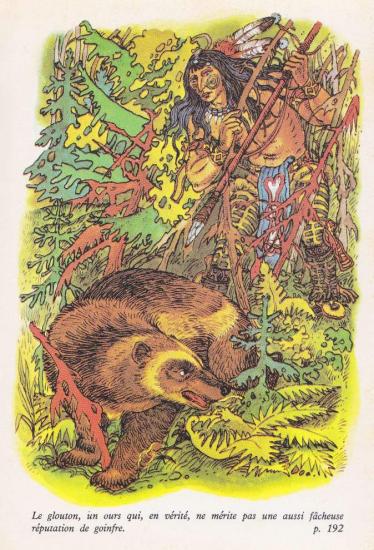Illustration de Contes et Légendes des Arbres et de la Forêt, Réédition 1978